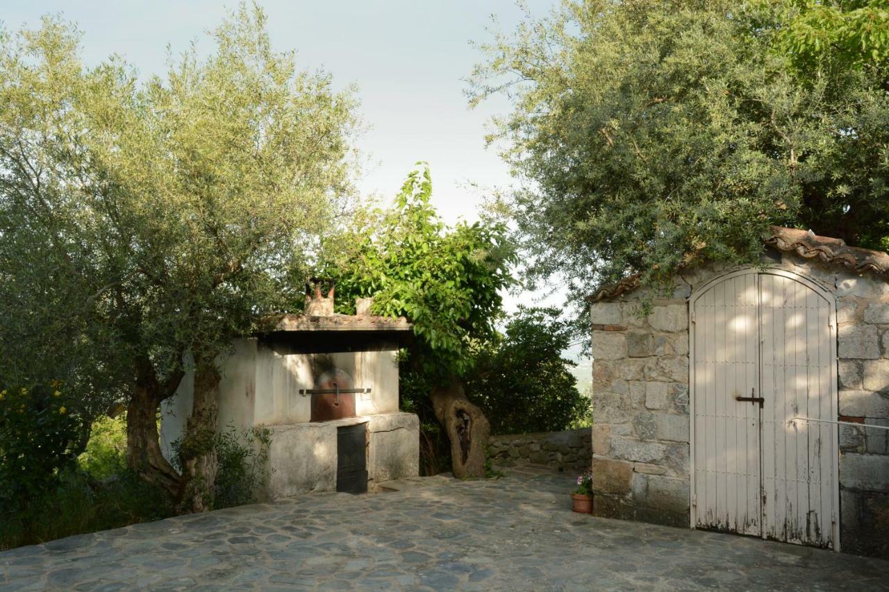 Mistra Estates Villa The Vine Pikouliánika Exteriér fotografie