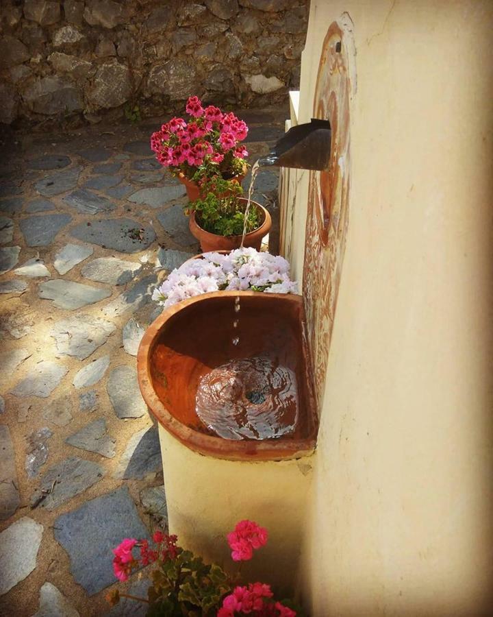 Mistra Estates Villa The Vine Pikouliánika Exteriér fotografie